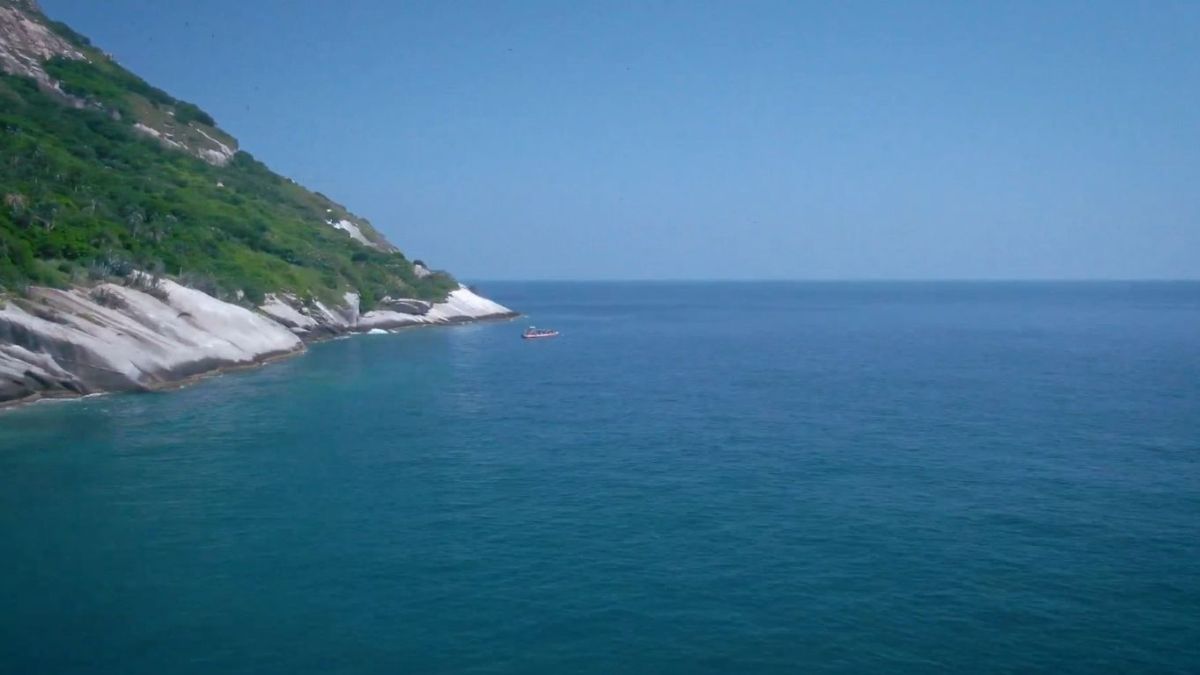O Arquipélago de Alcatrazes, a 45 km da costa de São Sebastião, é um dos principais destinos de mergulho do Brasil / Reprodução Youtube/BIRDCHECKBRASIL