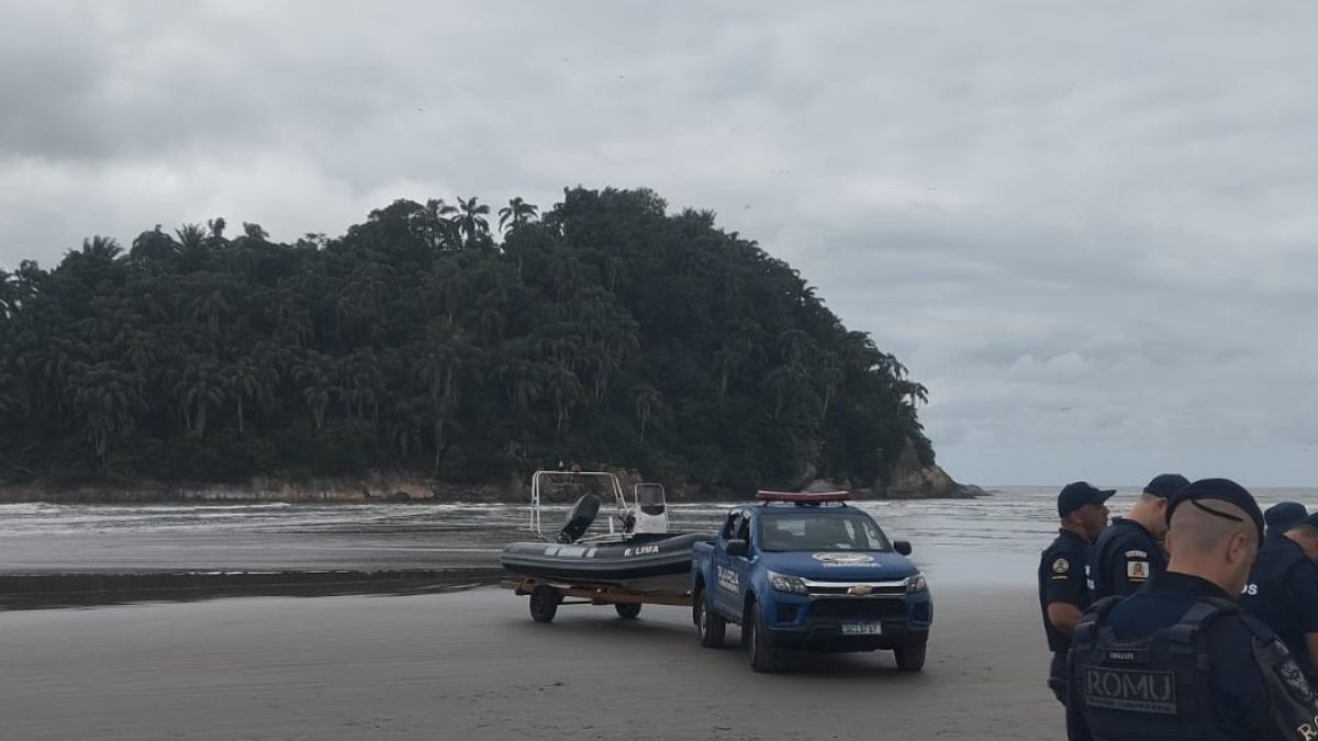 A operação foi realizada nesta sexta-feira (7) pela Polícia Militar Ambiental, em conjunto com a GCM, Corpo de Bombeiros e a empresa Terra Santos/ Divulgação