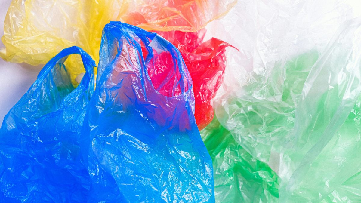 Passo 1: Separe uma sacola do supermercado/ Pexels