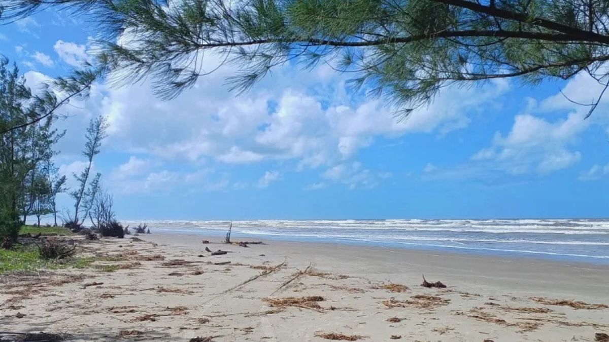 Panorama geral Ilha Comprida tem uma única praia contínua de 74 km, a segunda maior do Brasil. Trechos ganham nomes diferentes conforme o bairro: partes urbanizadas e outras totalmente desertas/ Guia Turístico