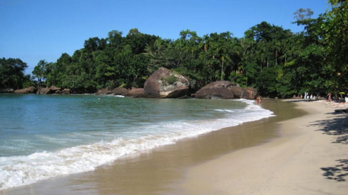 Entre serras, TPA e múltiplas rotas, planejar a viagem a Ubatuba faz toda a diferença para aproveitar cada pedaço desse paraíso/Wiki