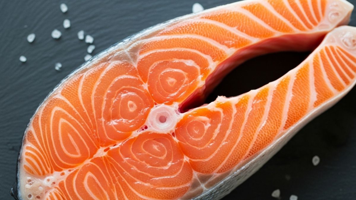 A contaminação está ligada ao ciclo de vida do peixe, especialmente quando ele vive próximo à costa e compartilha ambiente com mamíferos marinhos