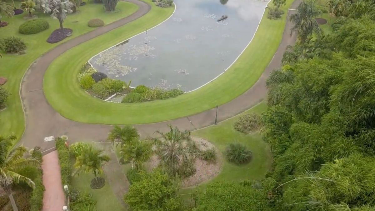 O Jardim Botânico Plantarum possui cerca de 4 mil espécies em uma área de 80 mil m²