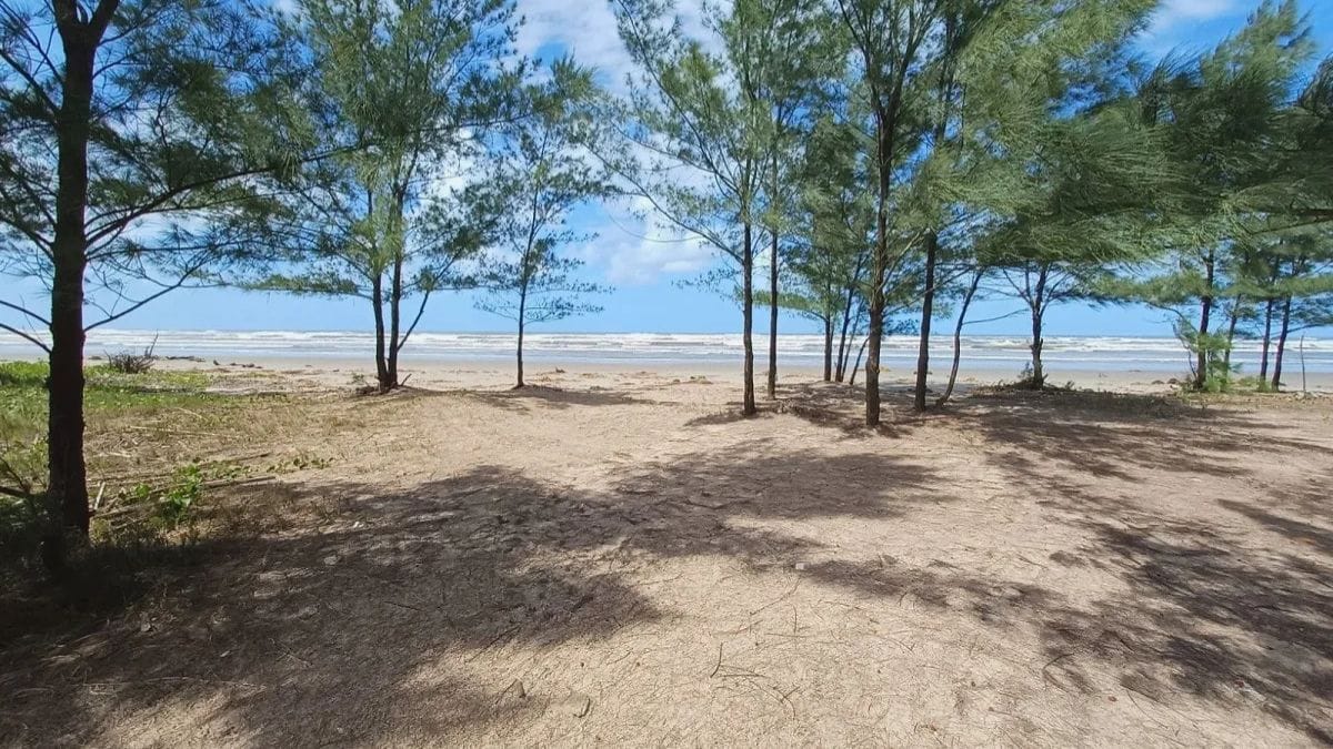 Quando ir De uma maneira geral, o verão (entre dezembro e março) é a melhor época para curtir as praias/ Guia Turístico