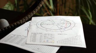 Estão sempre prontos para ajudar, defender e acolher frequentemente sem que ninguém precise pedir