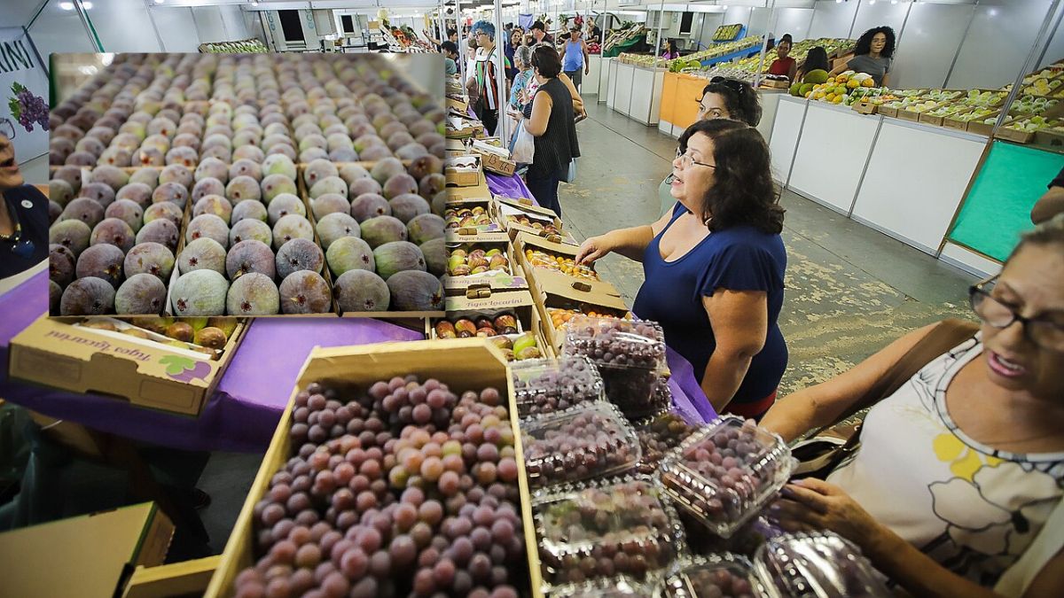 Região turística que reúne Valinhos e outros municípios do interior paulista, onde o visitante pode vivenciar o agroturismo, degustar frutas frescas e conhecer tradições rurais/ Agriculturasp/Wikimedia Commons