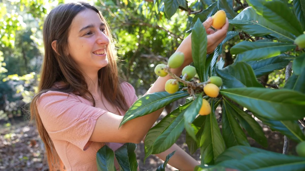 Conectar-se com ingredientes frescos e cozinhar de forma consciente transforma a alimentação em um ritual de criatividade e bem-estar/ Vinabila Karina/Unsplash