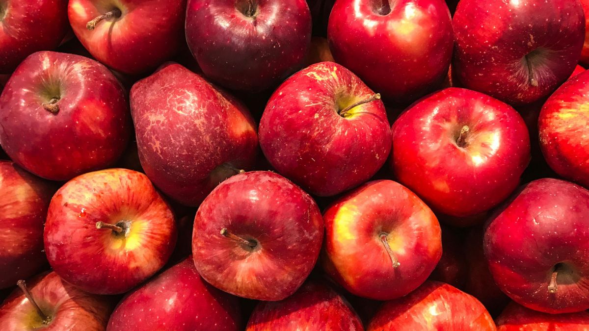 Maçãs vermelhas frescas, fruta clássica que ajuda na saúde do coração e na digestão/ Matheus Cenali/Pexels