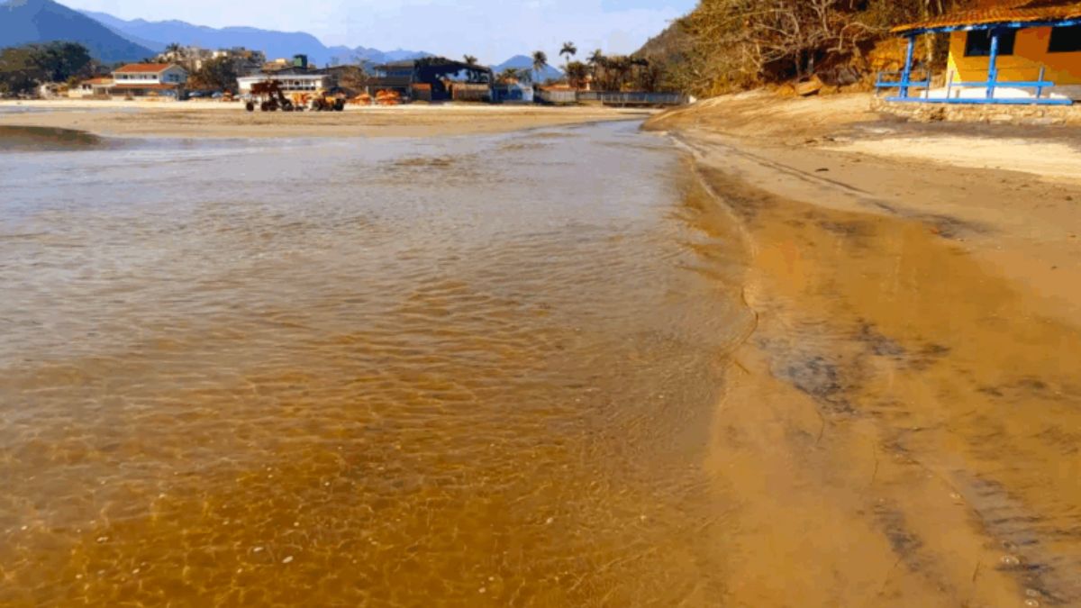 Praia de Tabatinga Na divisa com Ubatuba, a Praia de Tabatinga é conhecida por suas águas calmas e cristalinas, praticamente sem ondas. O mar tranquilo forma uma verdadeira piscina natural, ideal para famílias com crianças, já que os pais podem observá-las com segurança/ Reginaldo Pupo