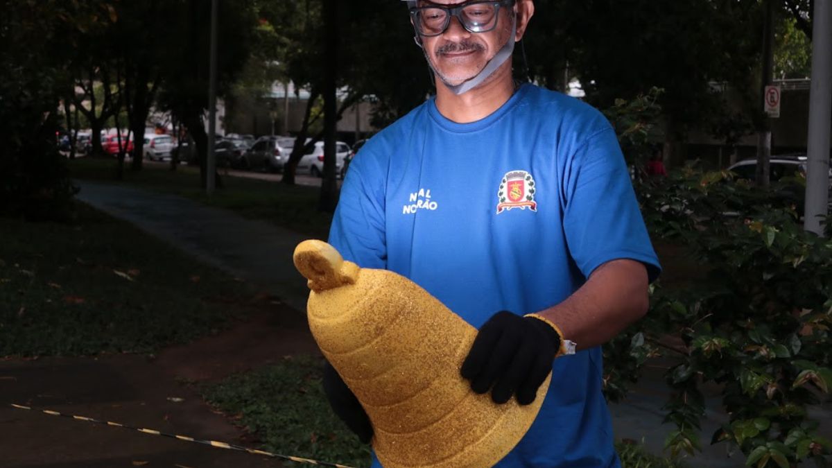 Na Zona Noroeste, o Jardim Botânico recebe trenzinho iluminado, grande árvore estilizada e fachada temática. Praças, avenidas e o camelódromo também ganham decoração, com destaque para árvores tipo cerejeira e cordões de LED. Divulgação/Francisco Arrais