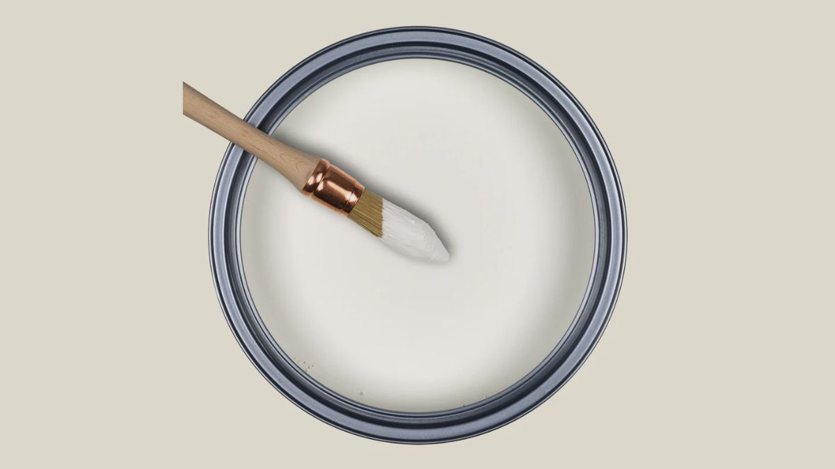 Fleur de Sureau, da Ressource Paints, entrega a nuance terrosa perfeita, com aparência natural e elegante/ Reprodução Resource