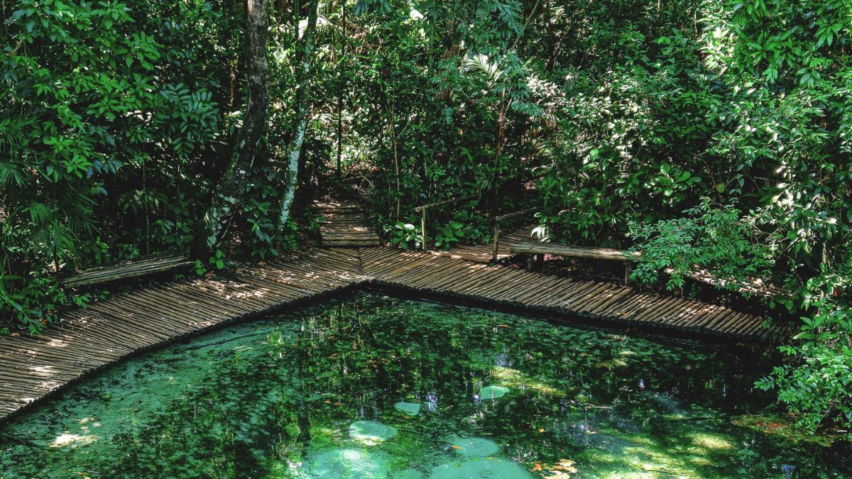 Areia Que Canta (Brotas): Nascente de água transparente onde a areia de quartzo branco produz som ao ser friccionada, criando um dos fenômenos naturais mais curiosos da região/ Reprodução Facebook/Areia que Canta