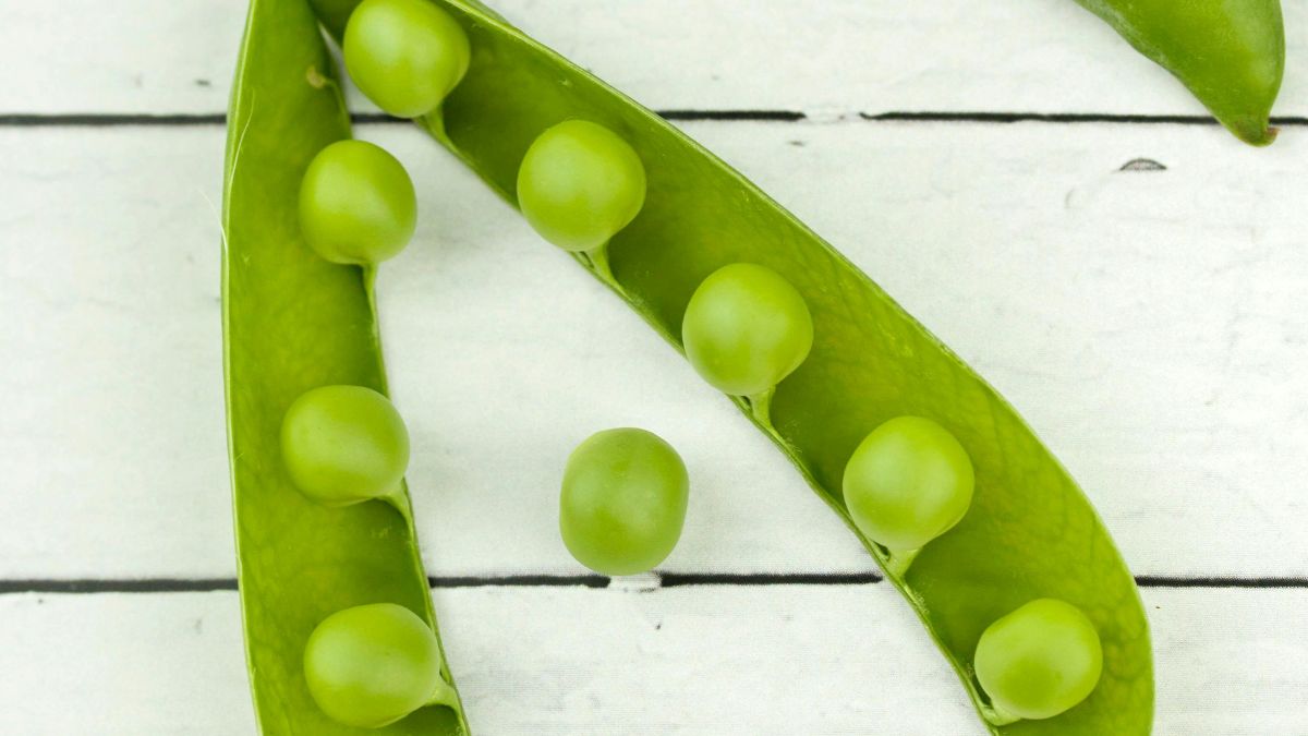 Saúde ocular: Fonte de luteína e zeaxantina, carotenoides com ação antioxidante, a ervilha auxilia na proteção da retina e na prevenção de doenças como catarata e degeneração macular/Pexels