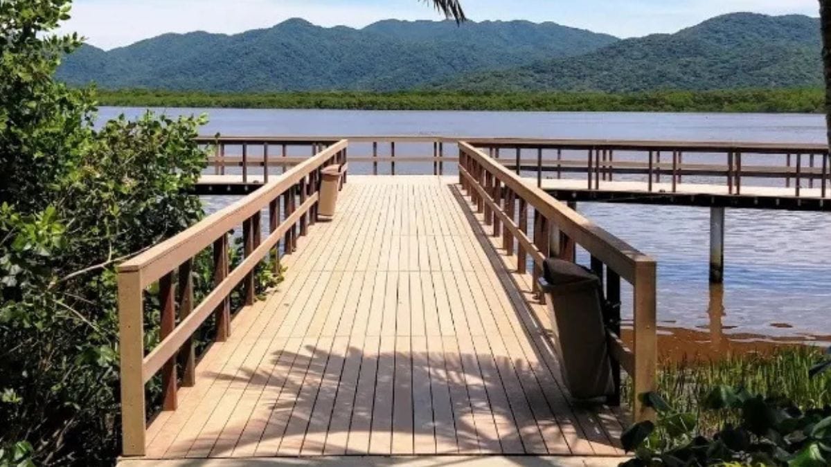 Além das praias, a Ilha Comprida SP oferece uma rica diversidade de ecossistemas, incluindo áreas de manguezais, restingas e Mata Atlântica preservada/ J.D.Rebello