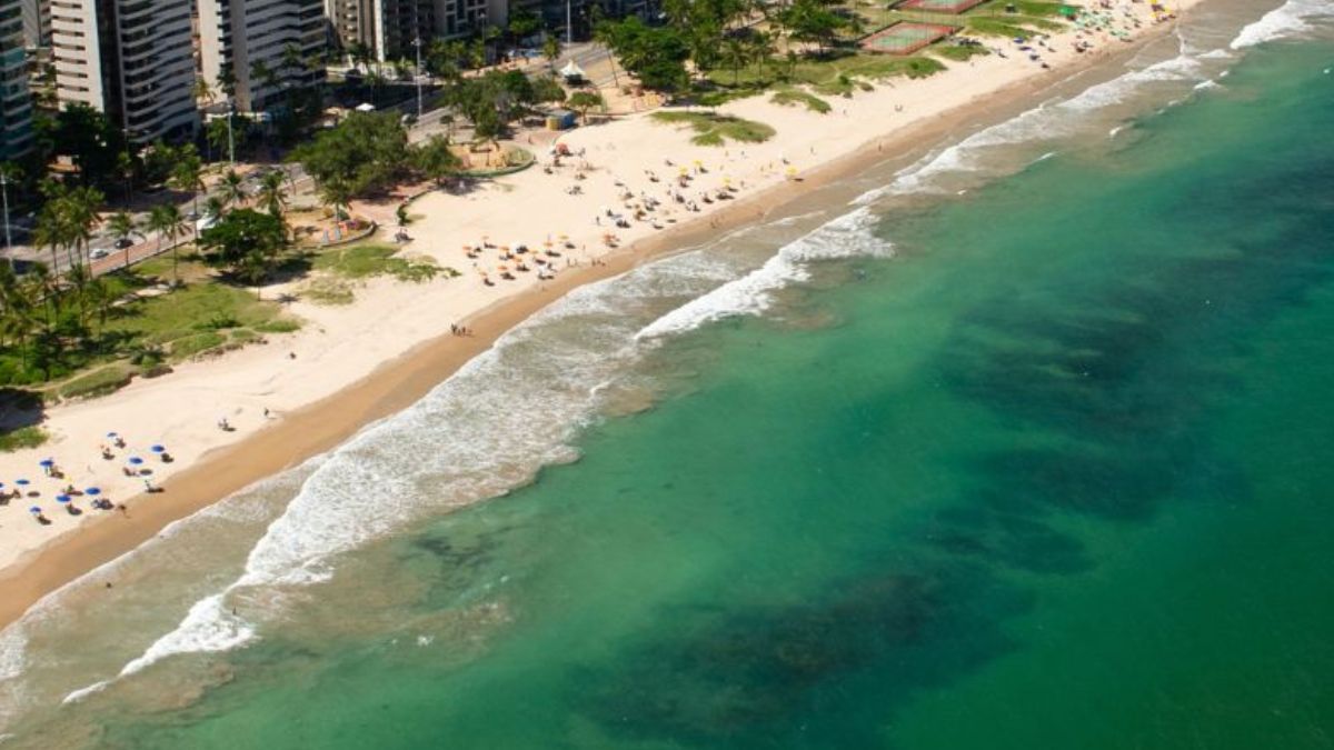 Da escola ao litoral, Recife incorpora ações para preparar a população e proteger seu patrimônio diante da crise climática/Internet