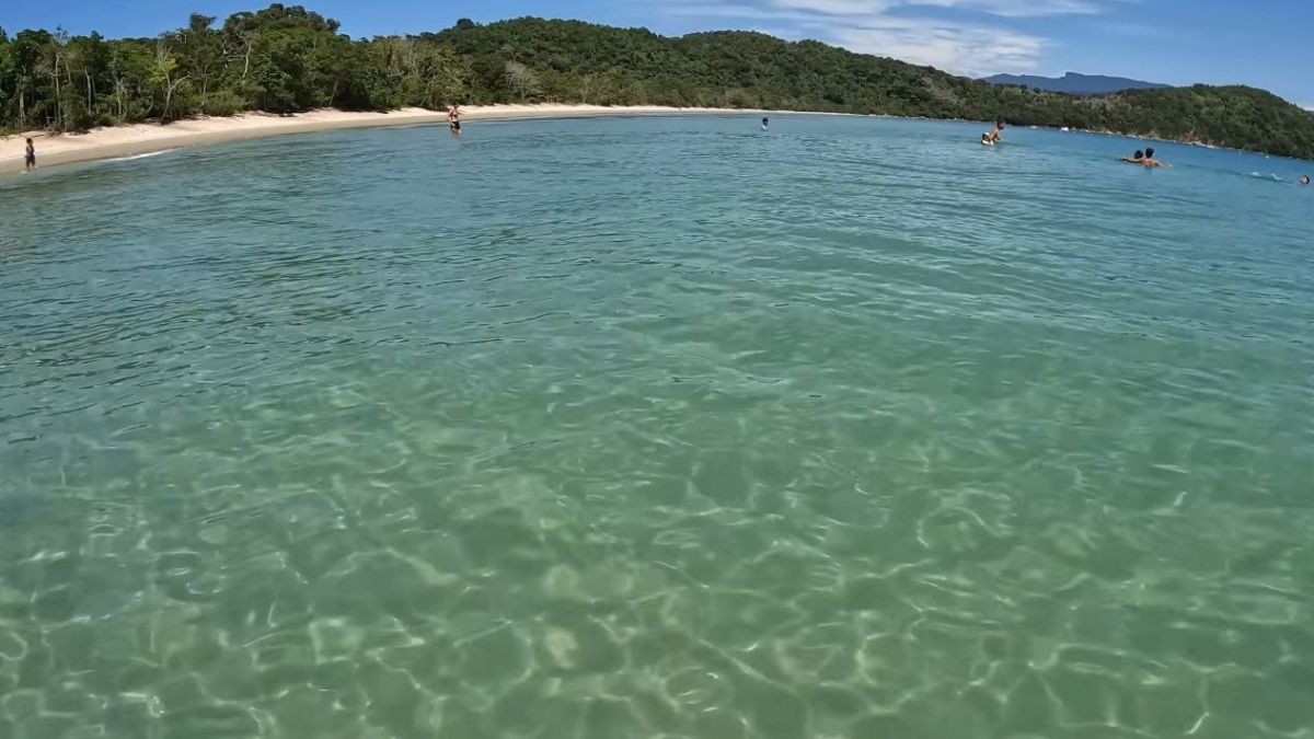Tombada como Unidade de Conservação em 1977, a Ilha Anchieta se tornou referência