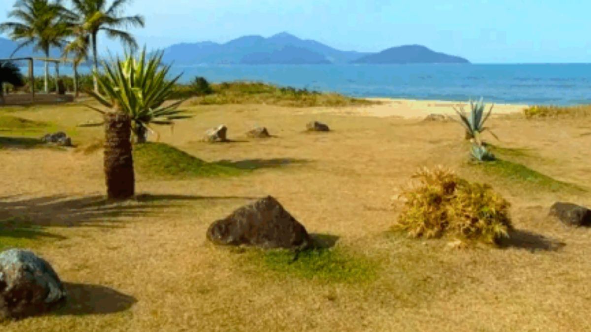 Praia da Mococa Escondida e charmosa, a Praia da Mococa tem três acessos pela Rodovia Rio-Santos (SP-55). Com aproximadamente 1 km de extensão, é cercada por natureza e possui areias monazíticas e mar calmo, ideal para banhistas e para a prática de caiaque, que pode ser alugado no local. Durante o verão, há um posto de guarda-vidas para garantir a segurança dos visitantes. A costeira próxima à foz do Rio Mococa, no lado norte, é um dos melhores pontos para mergulho livre/ Reginaldo Pupo