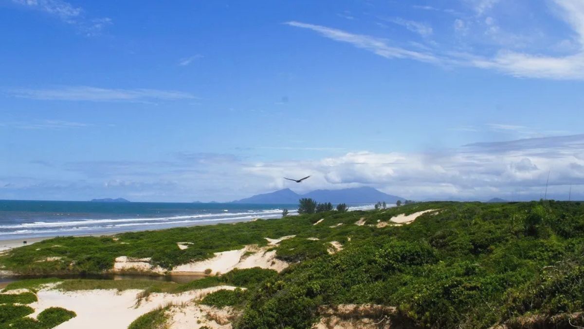 Praias: Castelo: deserta; dunas e pinheiros; sem infraestrutura. Viareggio: ondas fortes; pinheiros; boa para pesca. Balneário Flor de Iguape: início da parte urbana; boa infraestrutura. Boqueirão do Norte: praia mais movimentada; calçadão e ciclovia; boa para banho, surf e pesca/ Guia Lugares Turístico