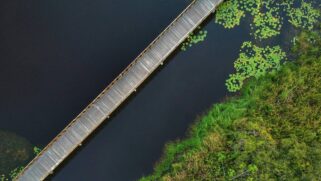 De acordo com portais locais, o trabalho de manejo da espécie começou em meados de 2017