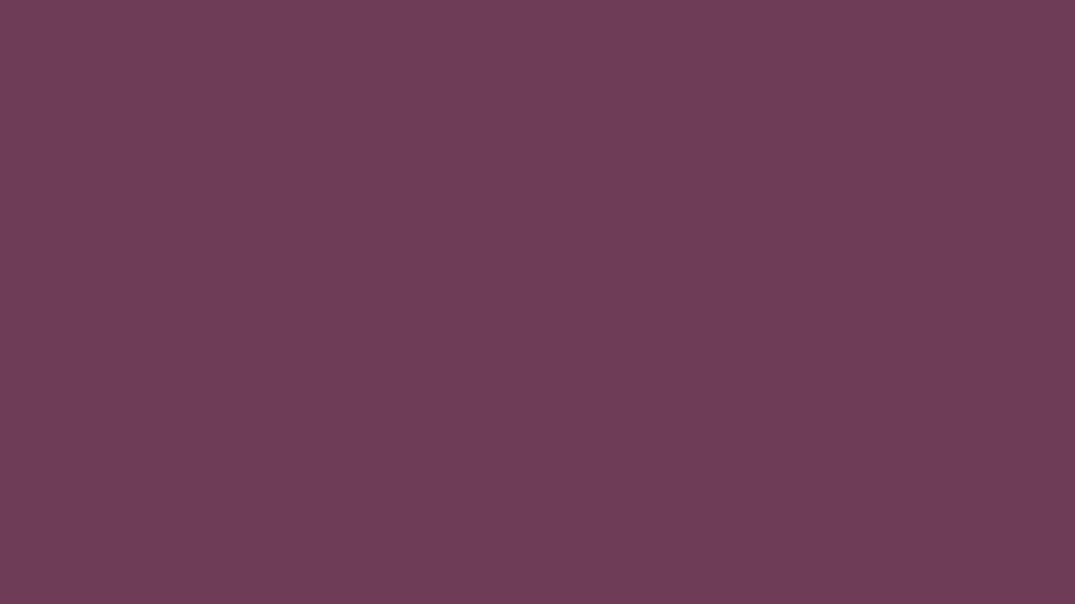 AMARANTH | 19-2410 /Pantone