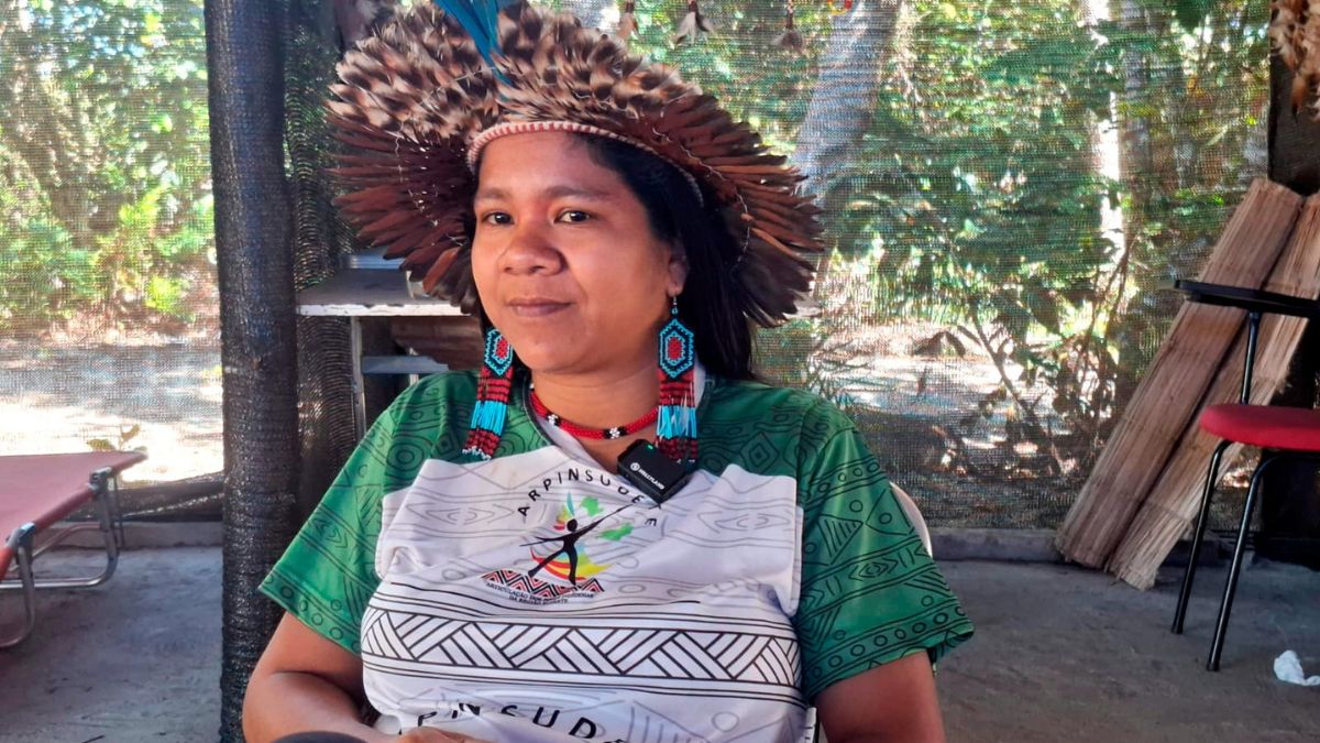 Guaciane explicou a importância da representatividade dos povos originários na COP 30