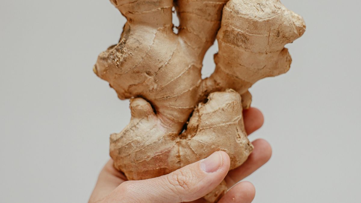 O gengibre é um dos remédios naturais mais antigos para o sistema digestivo. Sua ação também é investigada por acelerar o esvaziamento gástrico e reduzir o mal-estar/Pexels