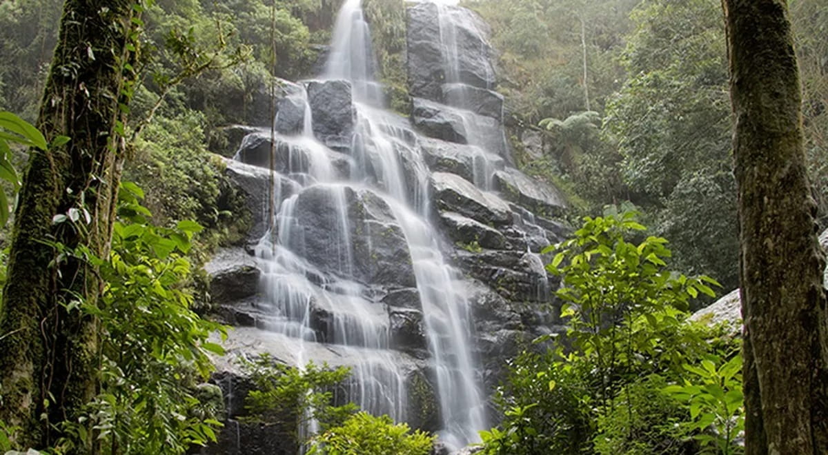 Desde sua criação, o parque foi reconhecido como unidade de conservação, com foco em pesquisa científica, educação ambiental, preservação da biodiversidade e turismo sustentável