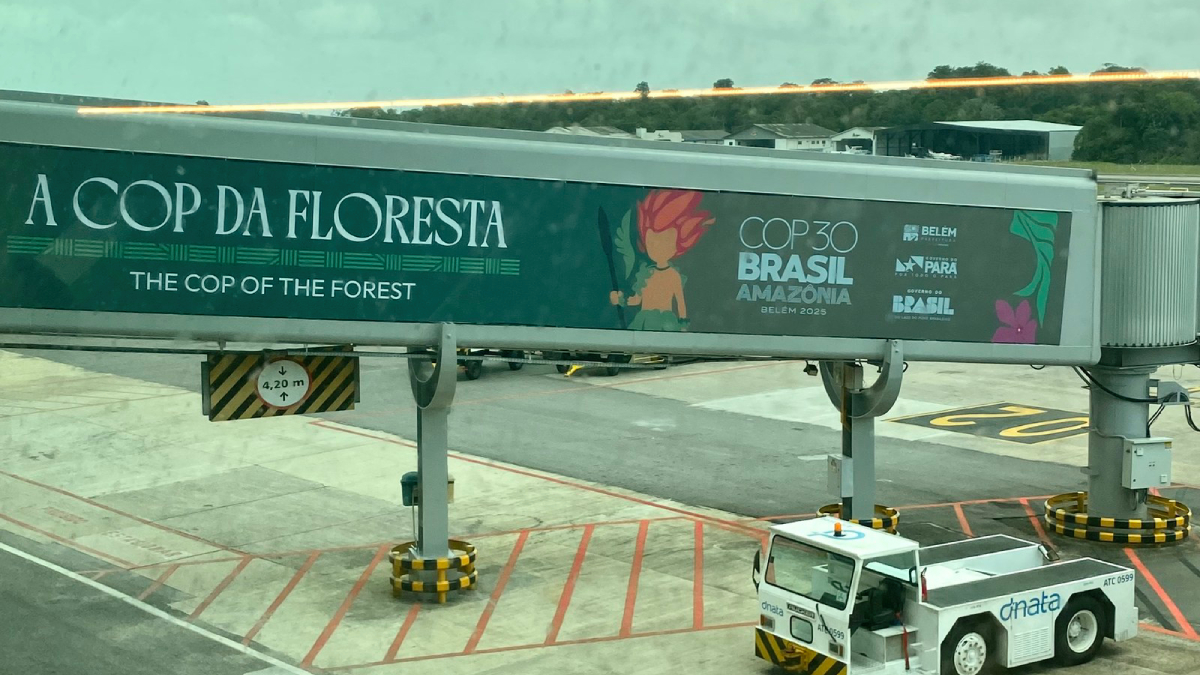 Quem desembarca em Belém (PA) é recebido por murais coloridos que retratam araras, onças e o lendário Curupira / Divulgação/Mayara Souto/COP30