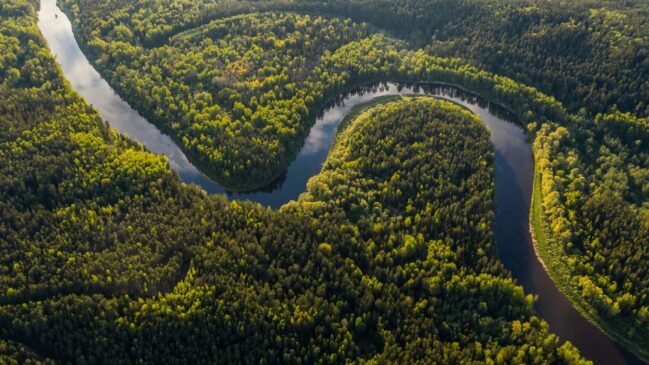 Realizar a Cúpula do Clima na Amazônia tem um simbolismo especial