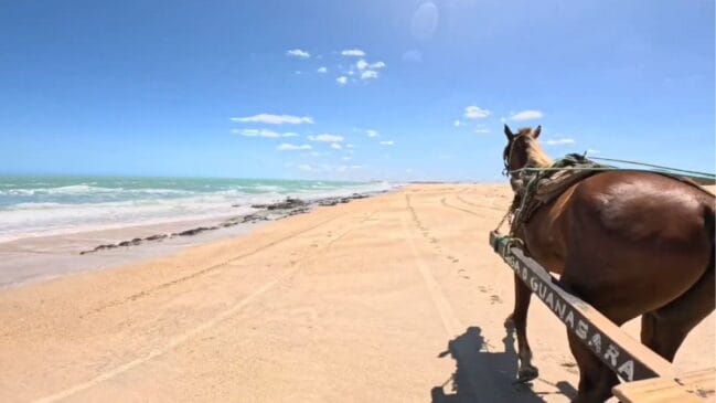 Dunas do André: As Dunas do André, moldadas pelos ventos fortes da região, são um dos cartões-postais de Galinhos/ Reprodução Youtube/Patrizio Marzocchi