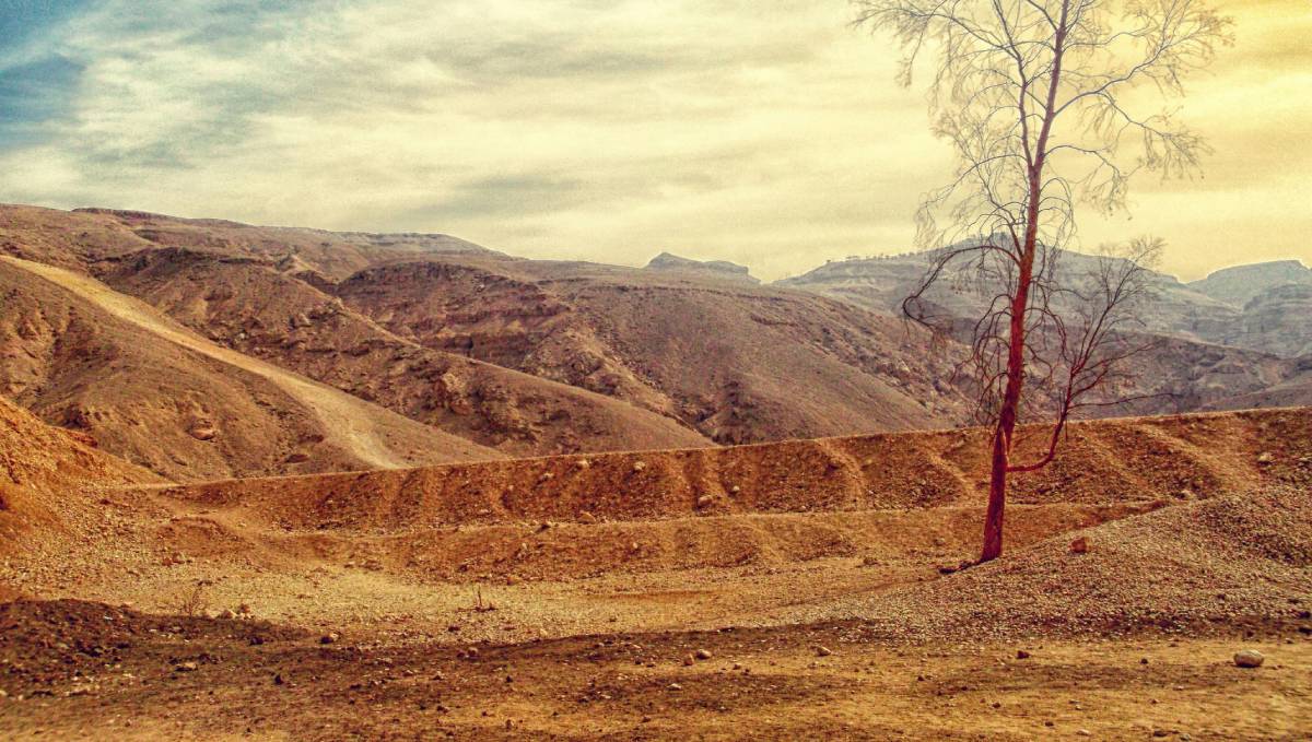 Para que essa meta seja alcançada, seria necessário reduzir em 43% as emissões de gases do efeito estufa