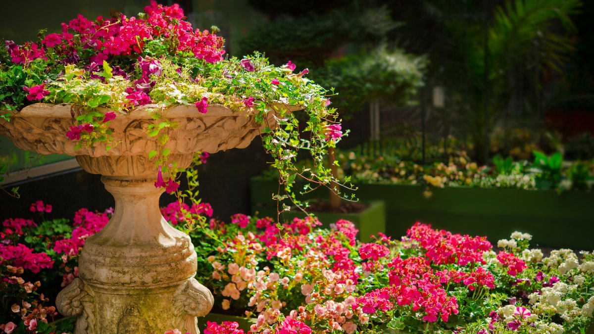 Falta de estudo sobre poda e floração pode transformar plantas em ameaças ao jardim / Pixabay