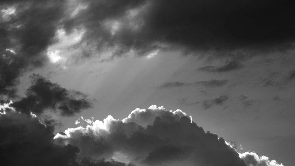 Em caso de ventos fortes, abrigue-se em um local seguro e evite transitar próximo a árvores, placas, muros e postes de energia (Hanniel Yaks/Pexels)