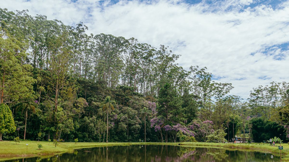 Divulgação/Prefeitura de SP