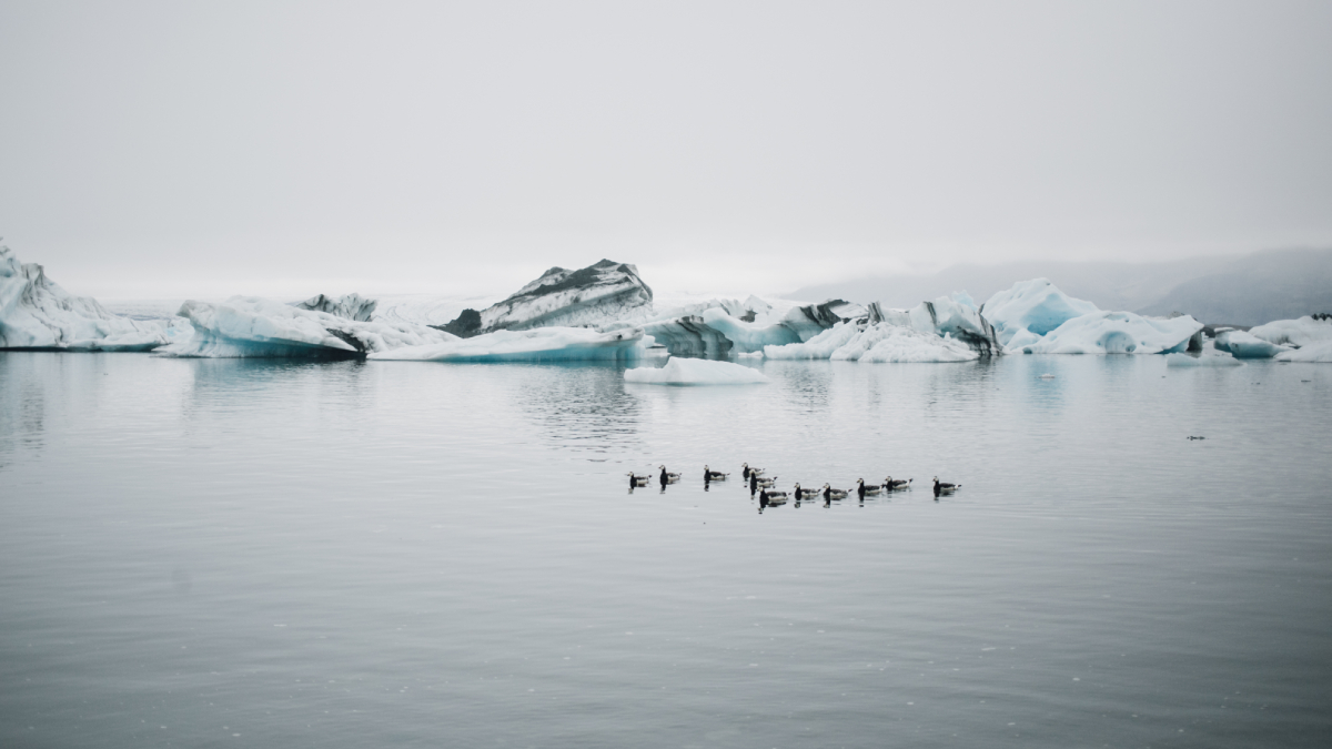 Estudos climáticos indicam que o derretimento do gelo da Antártida é uma questão de tempo / Freepik/bublikhaus