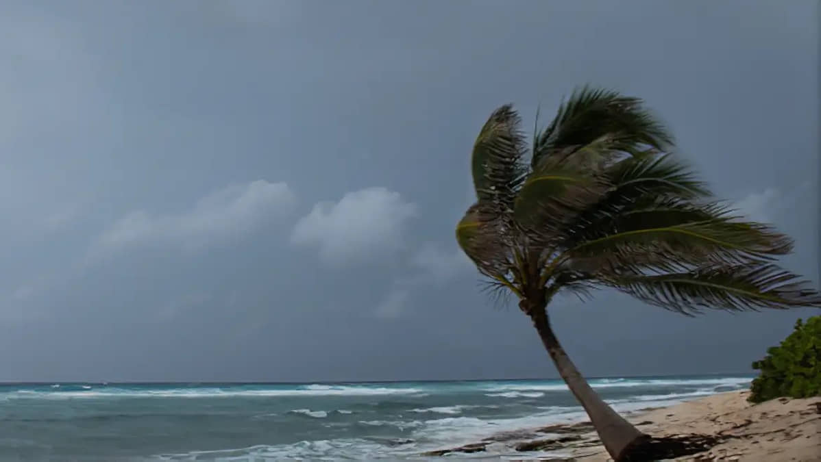Chuvas e ventos fortes atingem o litoral de SP