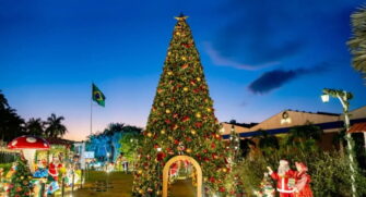 Com cerca de 4 mil m² de área decorada, o Natal Ypê 2025 traz o tema 'Jardim de Histórias Ypê 75 anos', que destaca a trajetória da companhia desde sua fundação, em 1950