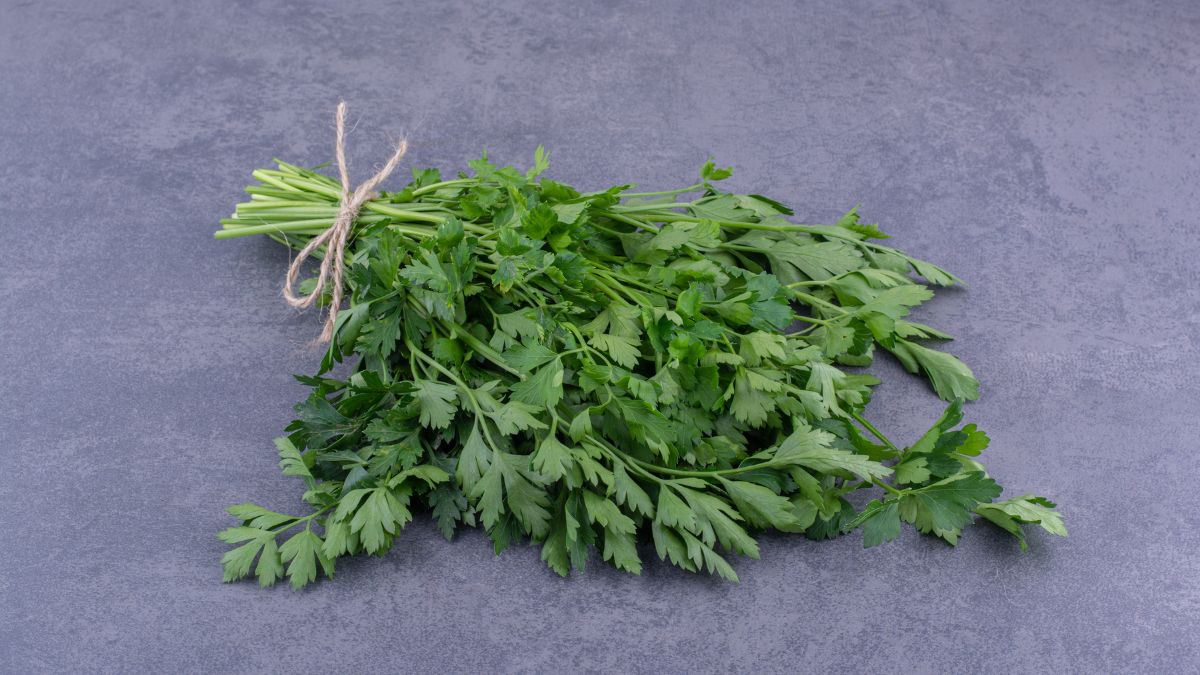 O método consiste em picar a salsinha fresca e armazená-la em camadas intercaladas com sal marinho natural dentro de um pote de vidro limpo e seco. A primeira camada deve ser sempre de sal / Foto: Freepik