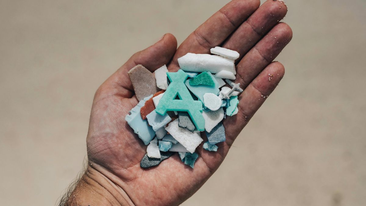 Microplásticos são partículas de plástico com menos de 5 mm que se acumulam em rios, oceanos e solos