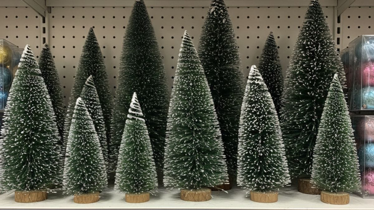 /Gemini AI