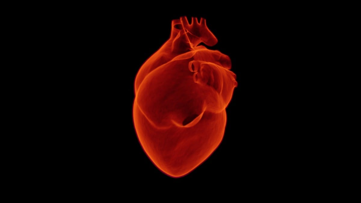 Algumas pesquisas mostram ligação entre deficiência de vitamina D e pressão arterial elevada e inflamação, fatores que afetam o coração / Pixabay