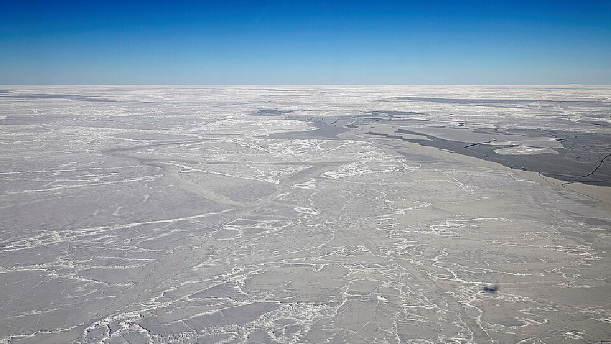 Com águas congeladas praticamente o ano todo, o mar de Weddell é um dos lugares mais inacessíveis aos seres humanos