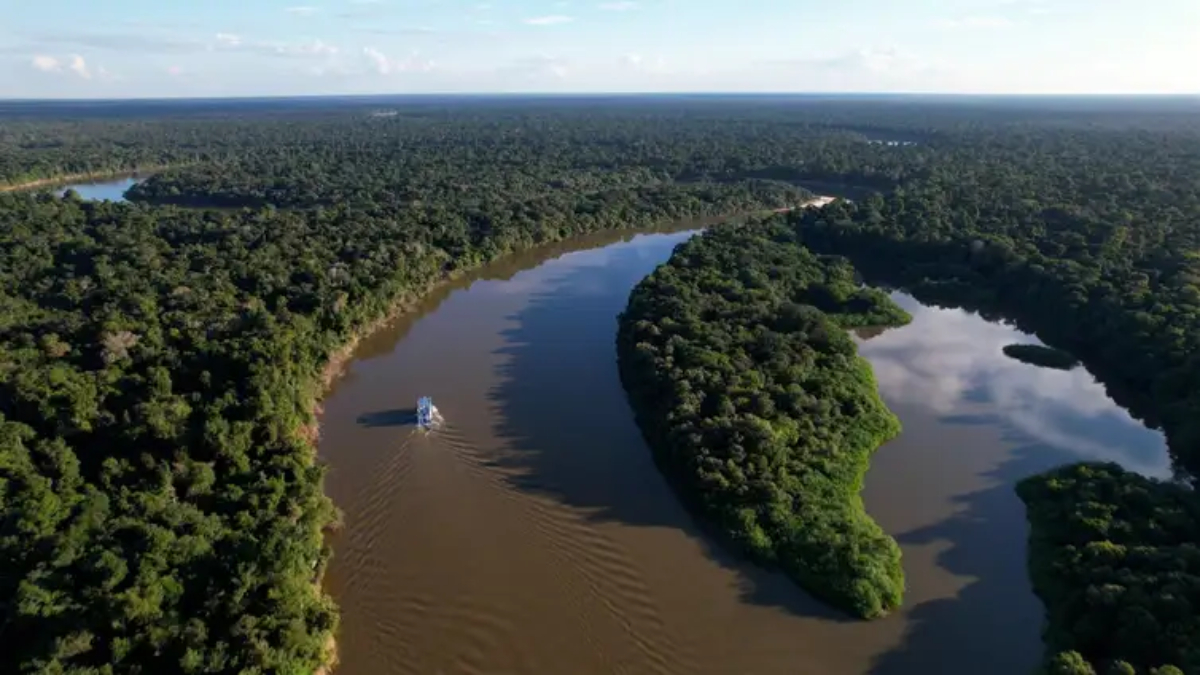 Idealizado pelo governo brasileiro, o fundo pretende criar uma "renda florestal global"