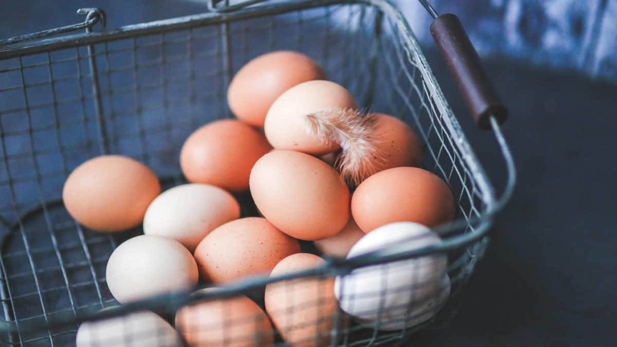 Os estudos mais recentes apontam para um único fator determinante na cor dos ovos