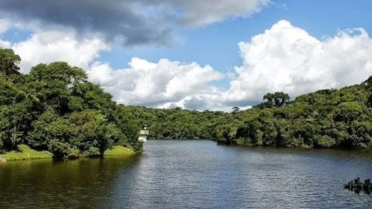 O parque protege as nascentes do Rio Cotia, sistema que garante água para cerca de 400 mil pessoas da Região Metropolitana/Divulgação