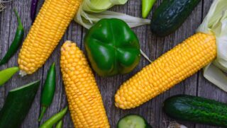 O estudo mostra que mesmo escolhas cotidianas e aparentemente inofensivas carregam uma pegada ambiental significativa, revelando a importância de entender como nossos hábitos alimentares influenciam o clima e o meio ambiente.