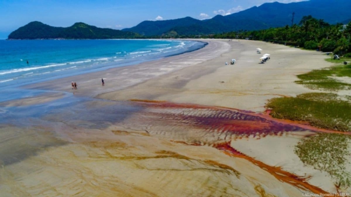 Suas extensas faixas de areia convidam para longas caminhadas e momentos de contemplação / Divulgação/PMSS