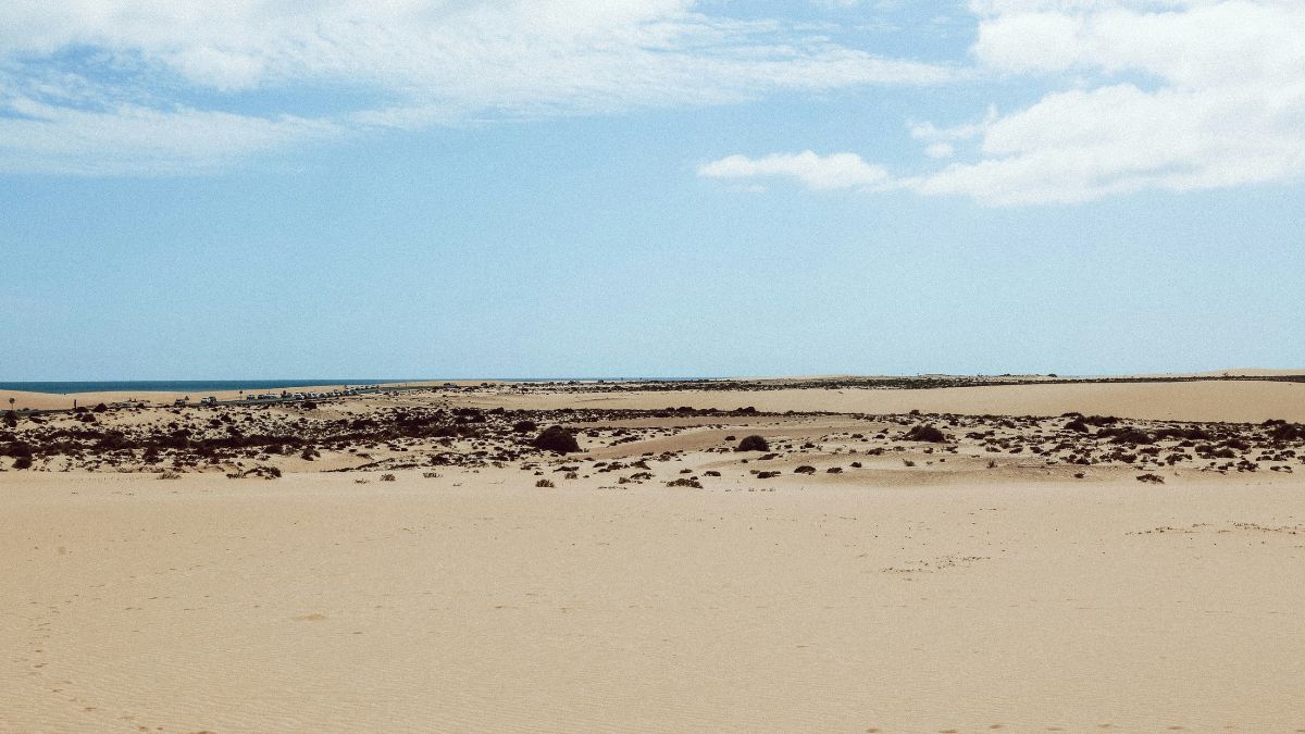 Especialistas alertam que intervenções como os geobags (sacos de concreto) contêm o avanço do mar, mas devolvem a onda com a mesma força, impedindo o retorno da areia/Unsplash