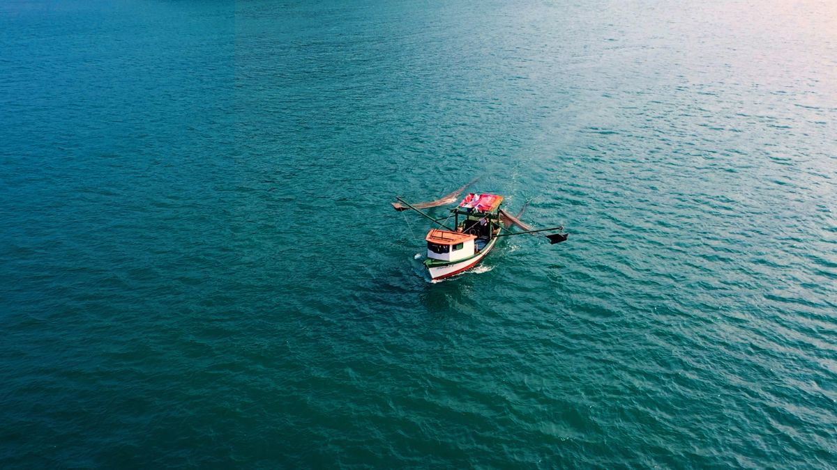 As raias-mantas acabam de entrar na lista de espécies criticamente ameaçadas. O Projeto Mantas do Brasil luta para reverter esse cenário através da pesquisa, educação e turismo sustentável na costa de São Paulo/Divulgação
