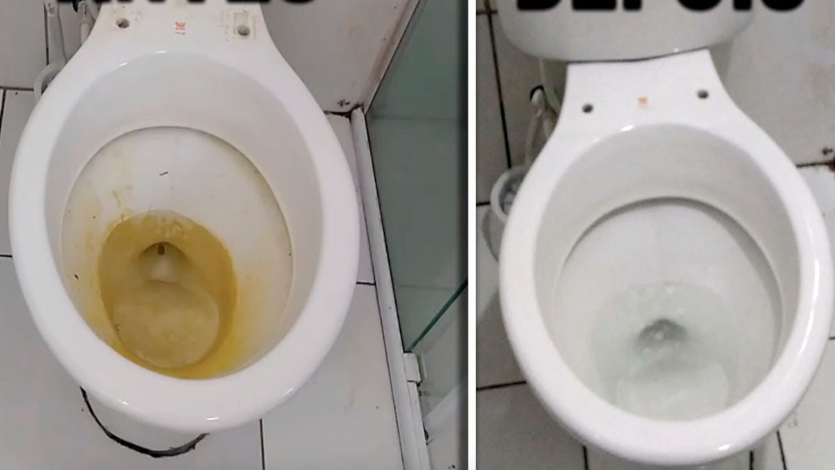 Truque pouco conhecido remove calcário do vaso sanitário sem esforço